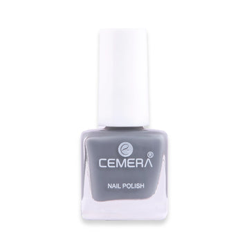 Nail Paints | Ash Gray