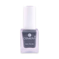 Nail Polish | Ash Gray