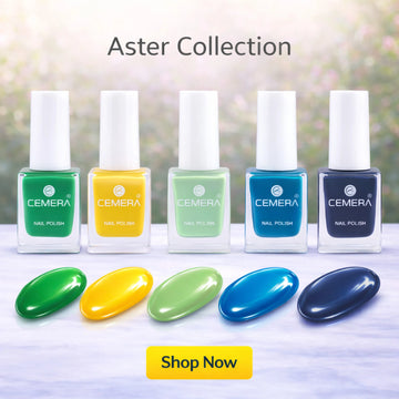Nail Polish | Aster (Pack Of 5)