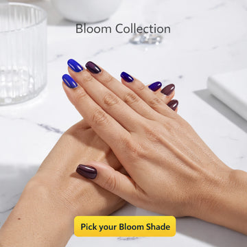 Nail Polish | Bloom (Pack Of 5)