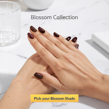 Nail Polish | Blossom (Pack Of 5)