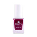 Nail Polish | Brownish Pink