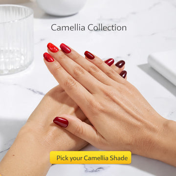 Nail Polish | Camellia (Pack Of 5)