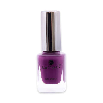 Quick dry nail polish in rich pigment shade with salon finish