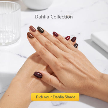 Nail Polish | Dahilia (Pack Of 5)
