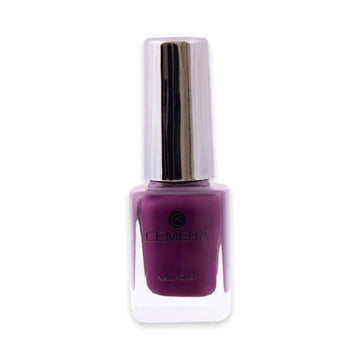Quick dry nail polish in rich pigment shade with salon finish