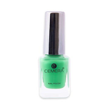 Quick dry nail polish in rich pigment shade with salon finish