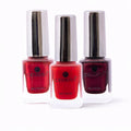Nail Polish | Elevate (Pack Of 3)