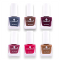 Nail Paints | Elite (Pack Of 6)