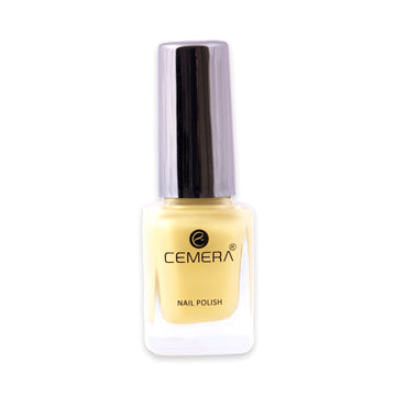 Quick dry nail polish in rich pigment shade with salon finish