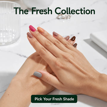 Nail Paints | Fresh (Pack Of 6)