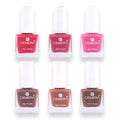 Nail Paints | Icon (Pack Of 6)