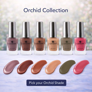 Nail Polish | Orchid (Pack Of 6)
