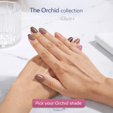 Nail Polish | Orchid (Pack Of 6)