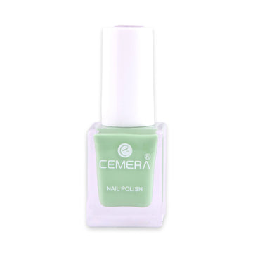 Quick dry nail polish in rich pigment shade with salon finish