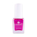 Nail Polish | Pink Dust