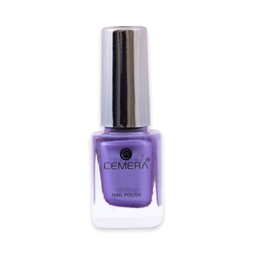 Nail Polish | Purple Dust