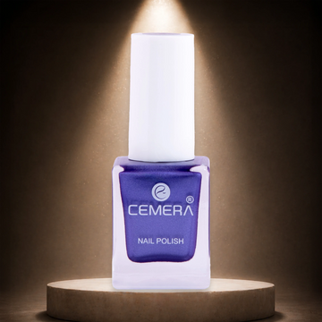 Nail Polish | Purple Dust
