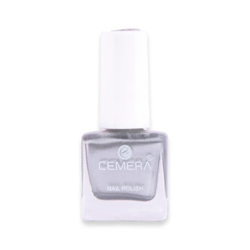 Nail Paints | Silver Dust