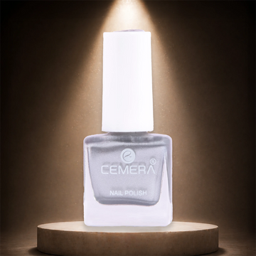 Nail Paints | Silver Dust