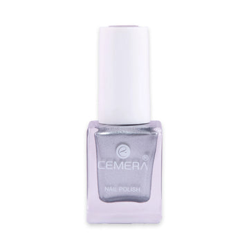 Nail Polish | Silver Dust