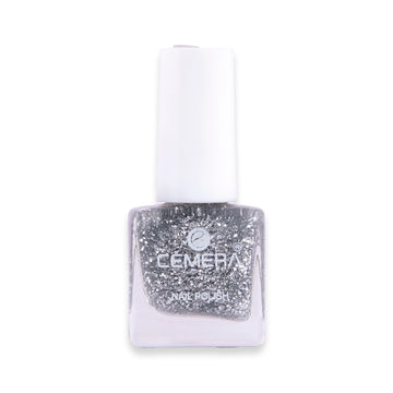 Nail Paints | Silver Glitter