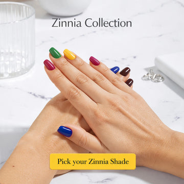 Nail Polish | Zinnia (Pack Of 6)